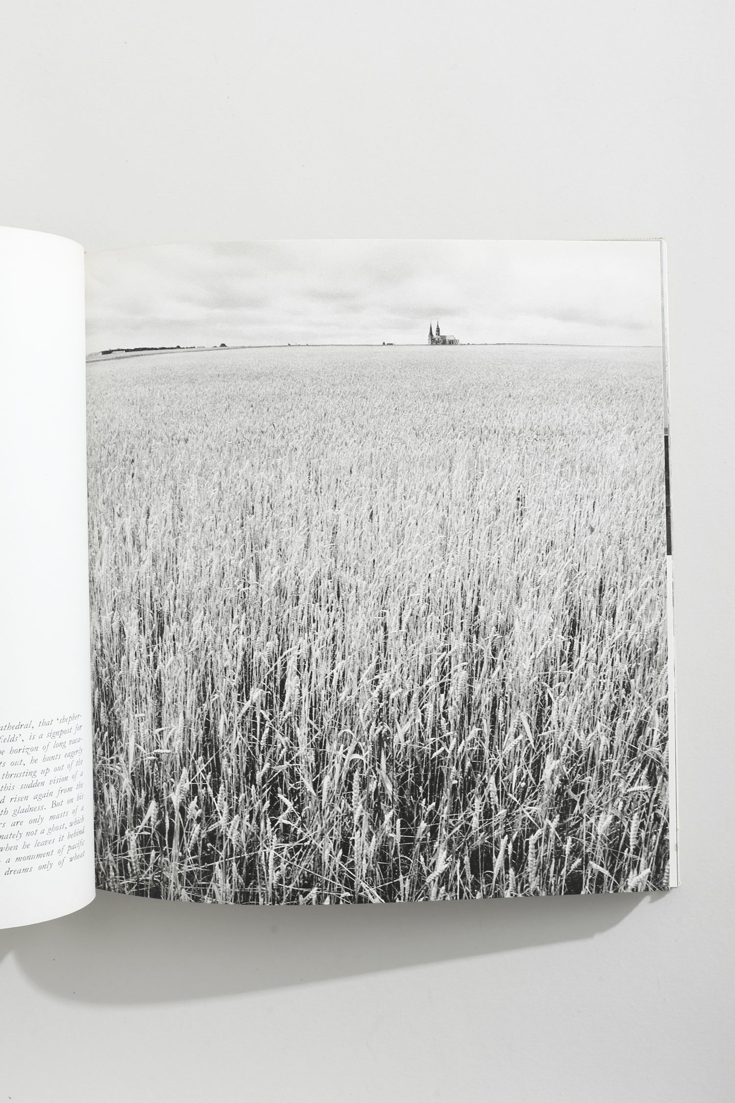 The France I Love Book
