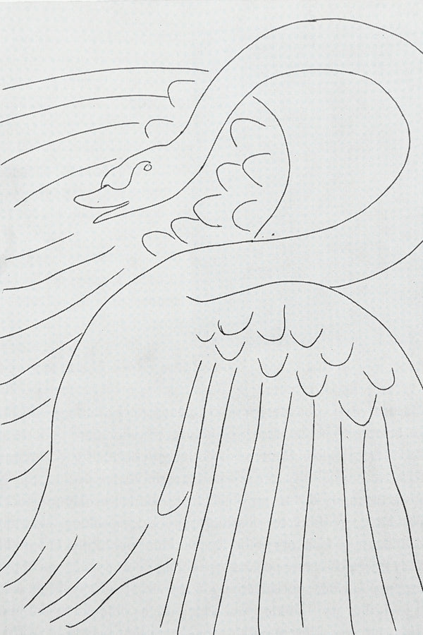 The Visual Experience Book