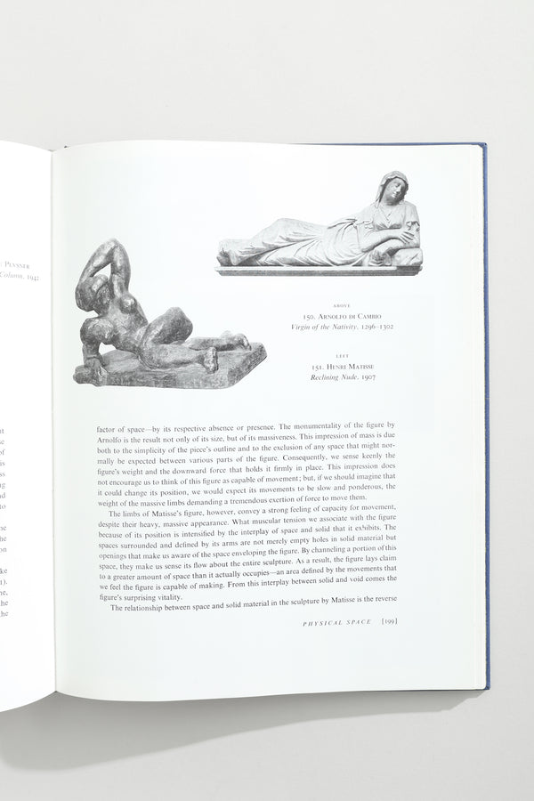 The Visual Experience Book