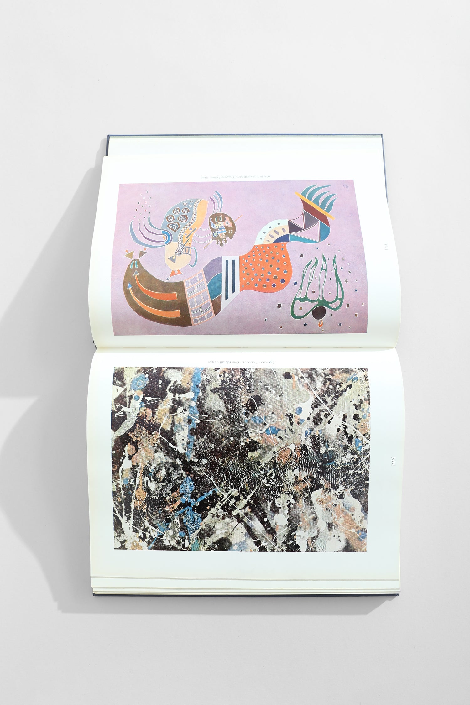 The Visual Experience Book