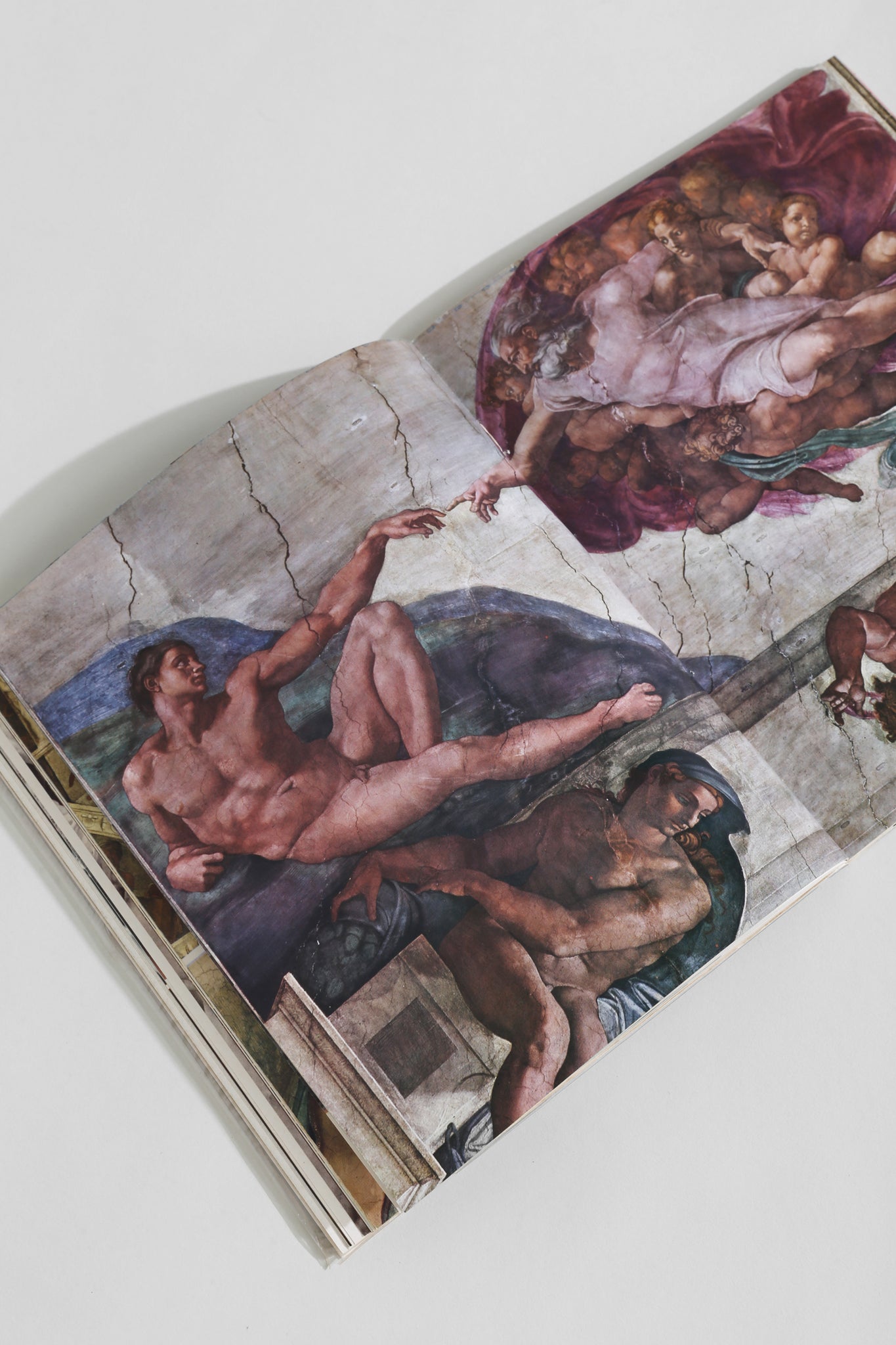 Michelangelo Buonarroti Book