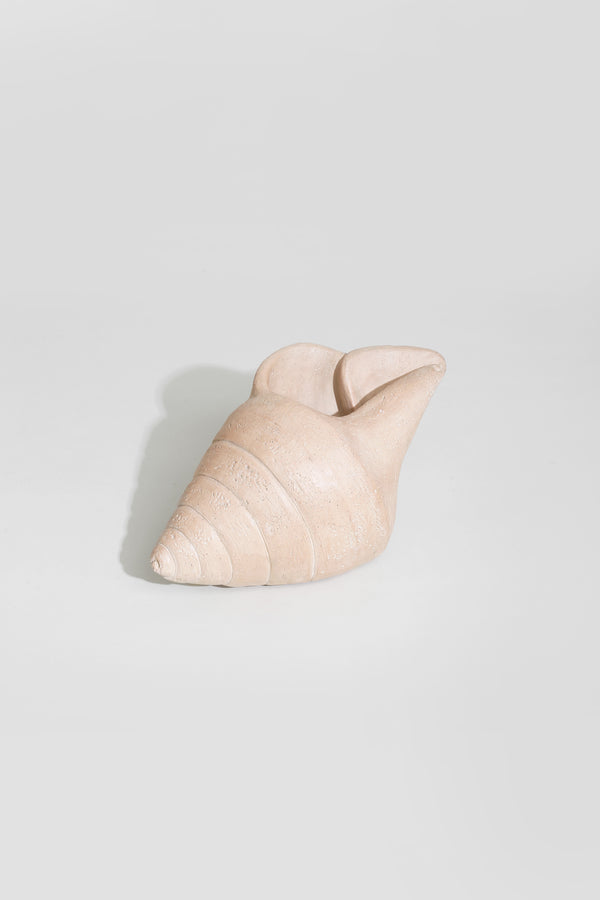 Plaster Shell Sculpture