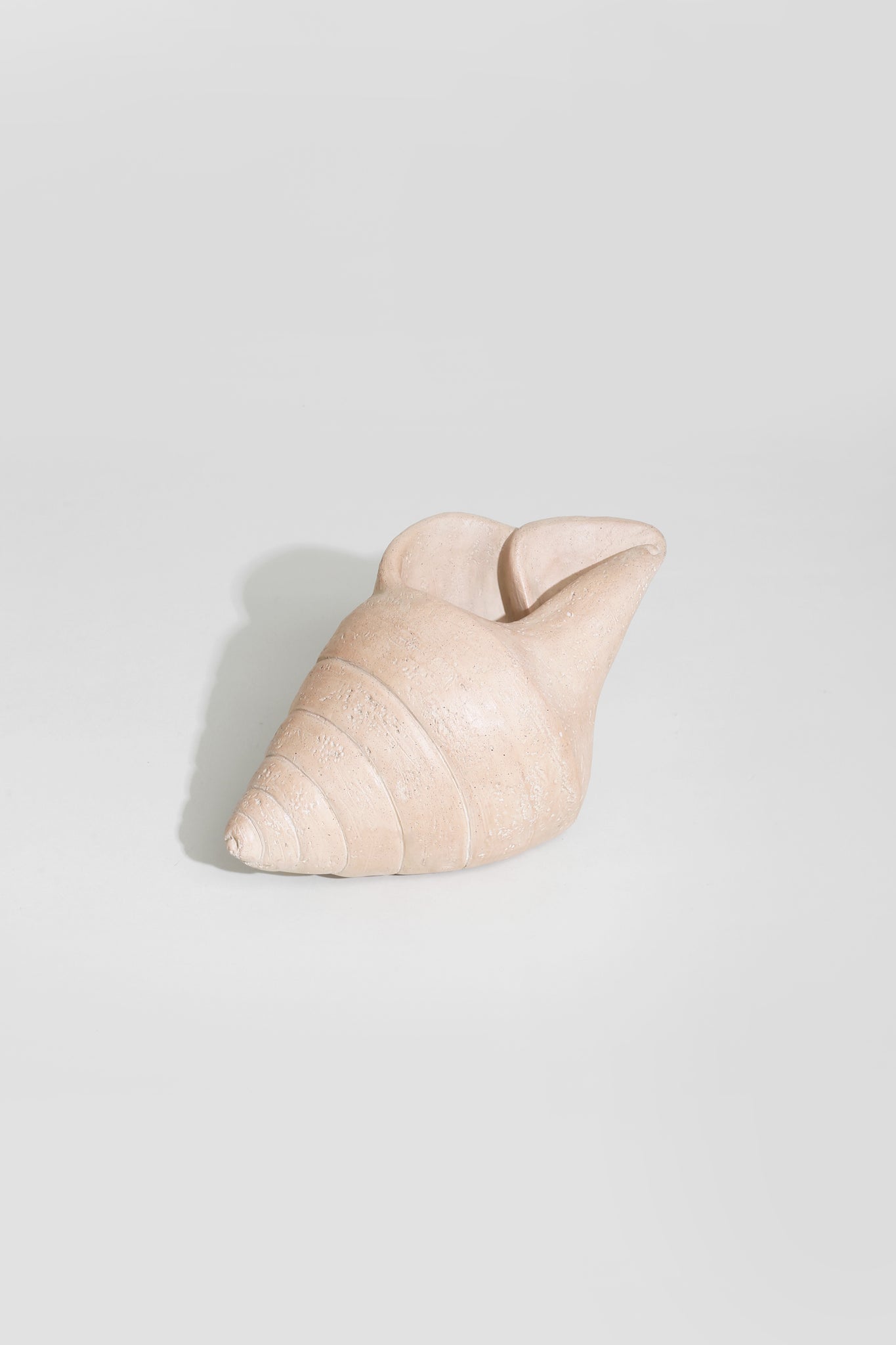 Plaster Shell Sculpture
