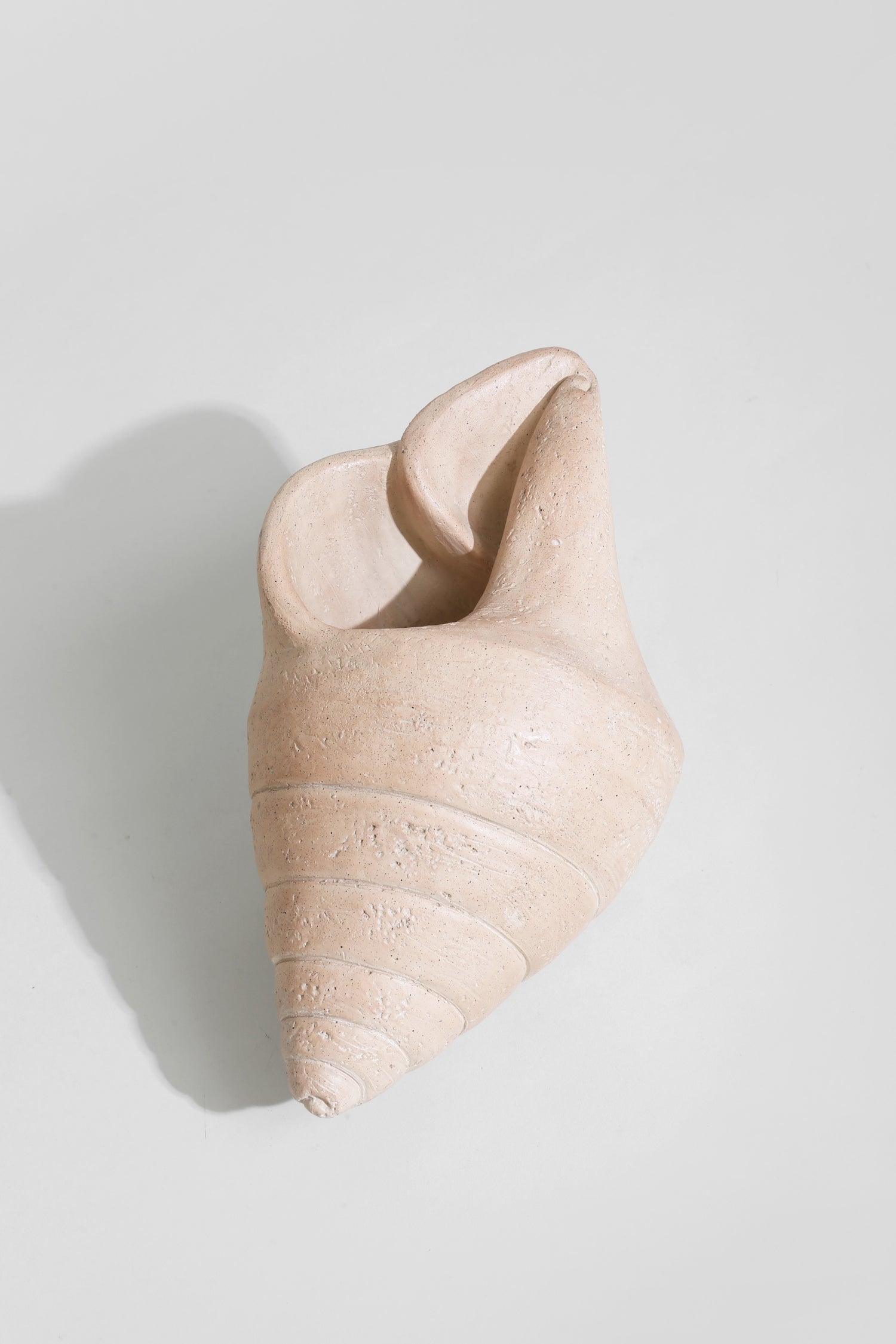 Plaster Shell Sculpture