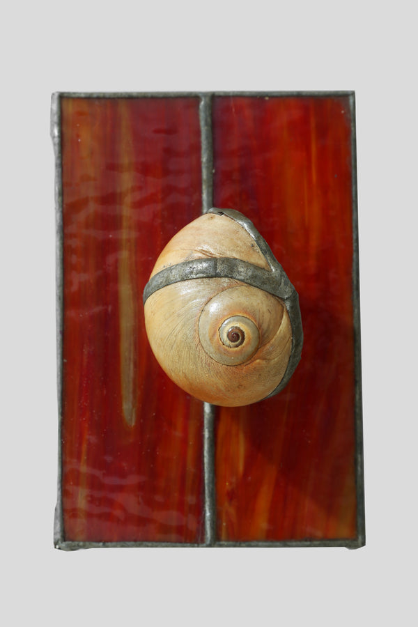 Spiral Shell Glass Jewelry Box