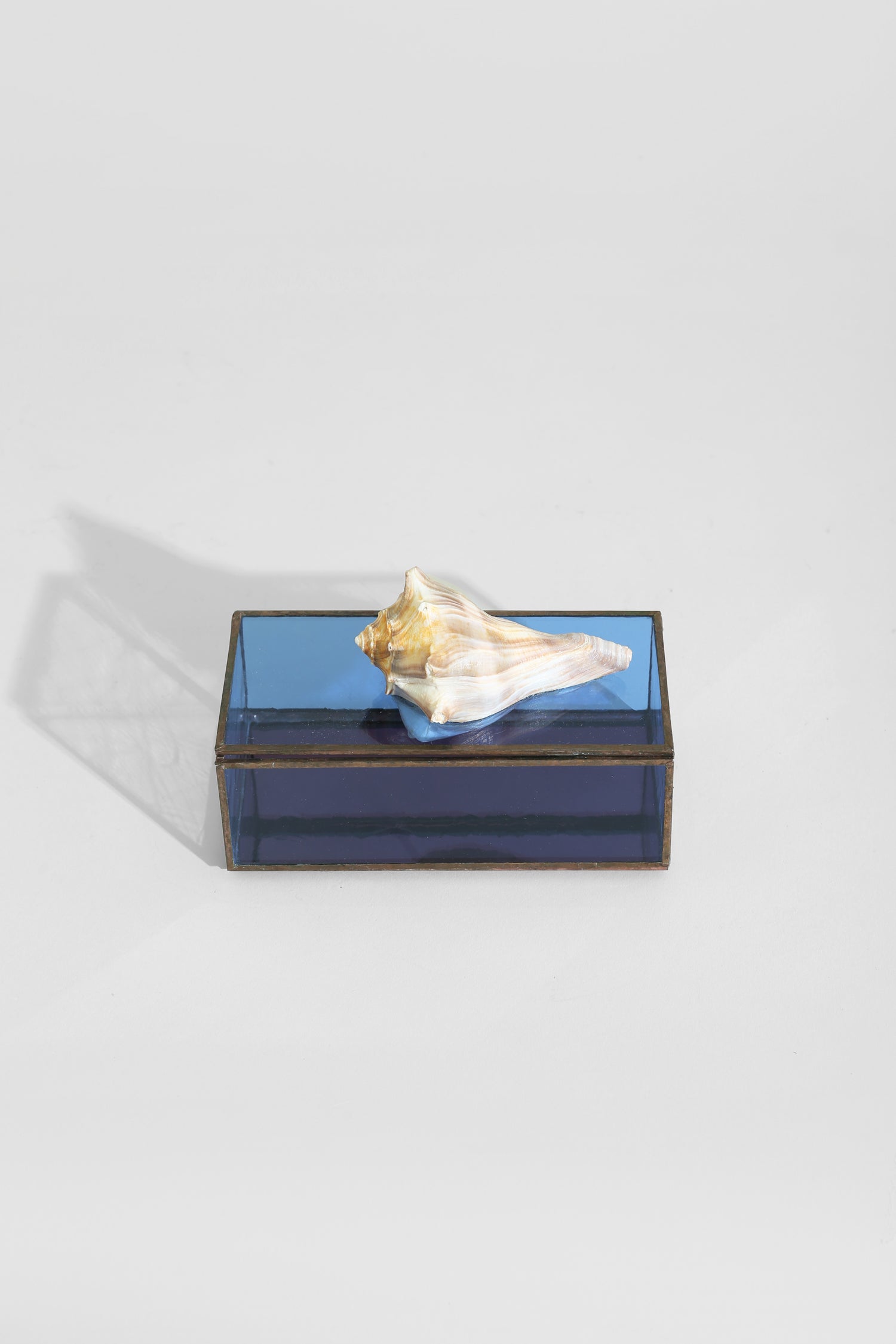 Shell Glass Jewelry Box
