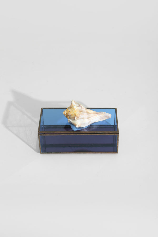 Shell Glass Jewelry Box