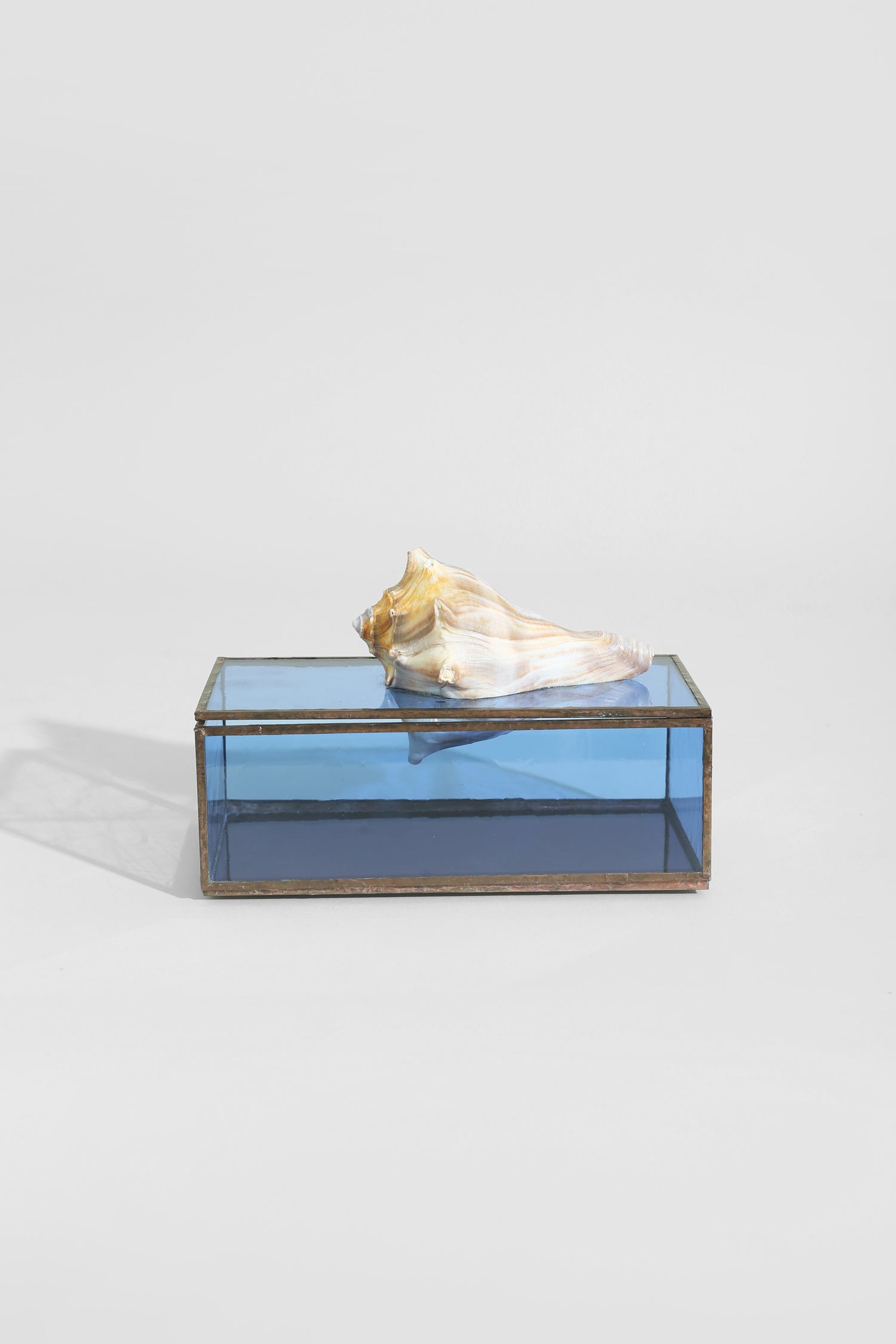 Shell Glass Jewelry Box