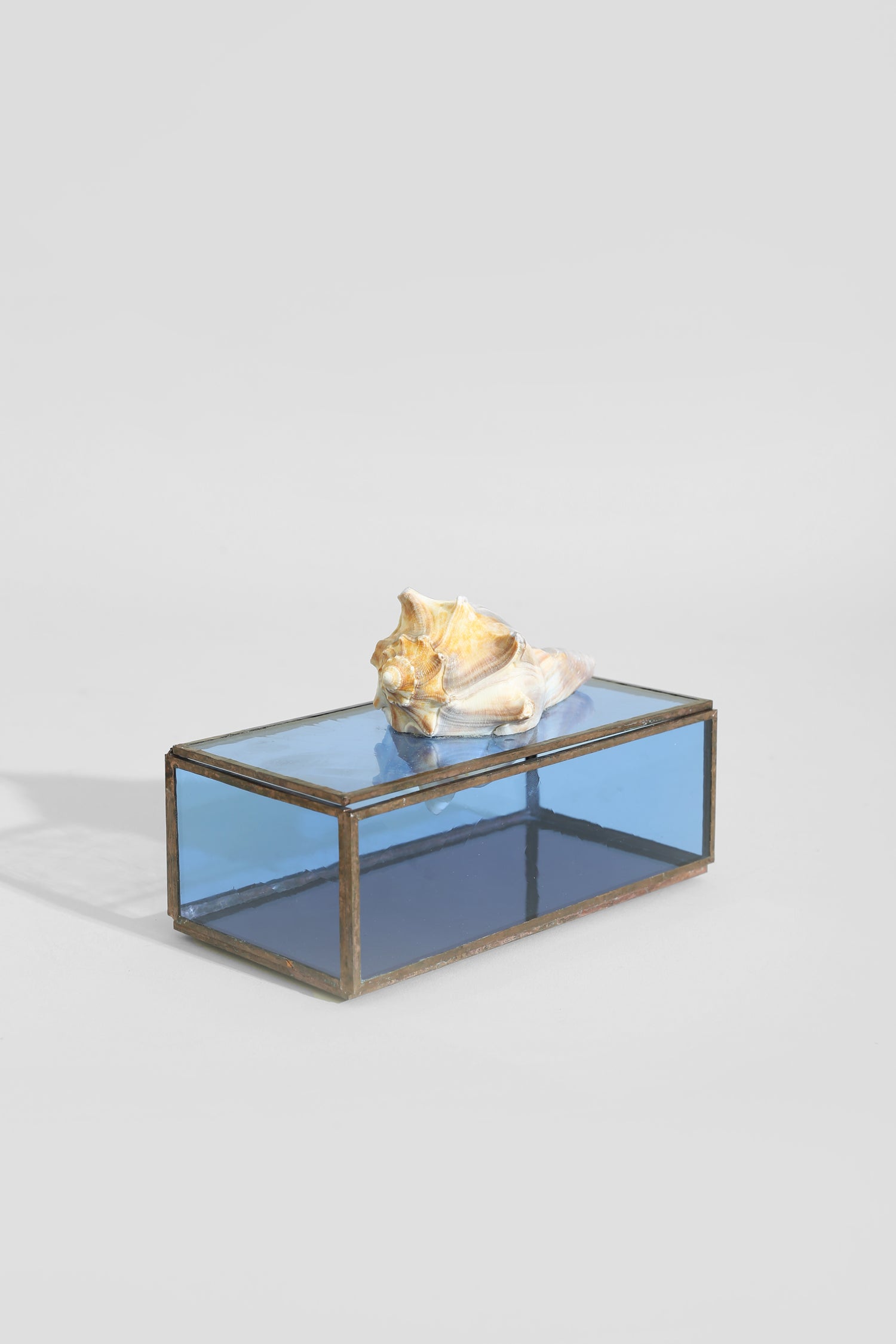 Shell Glass Jewelry Box