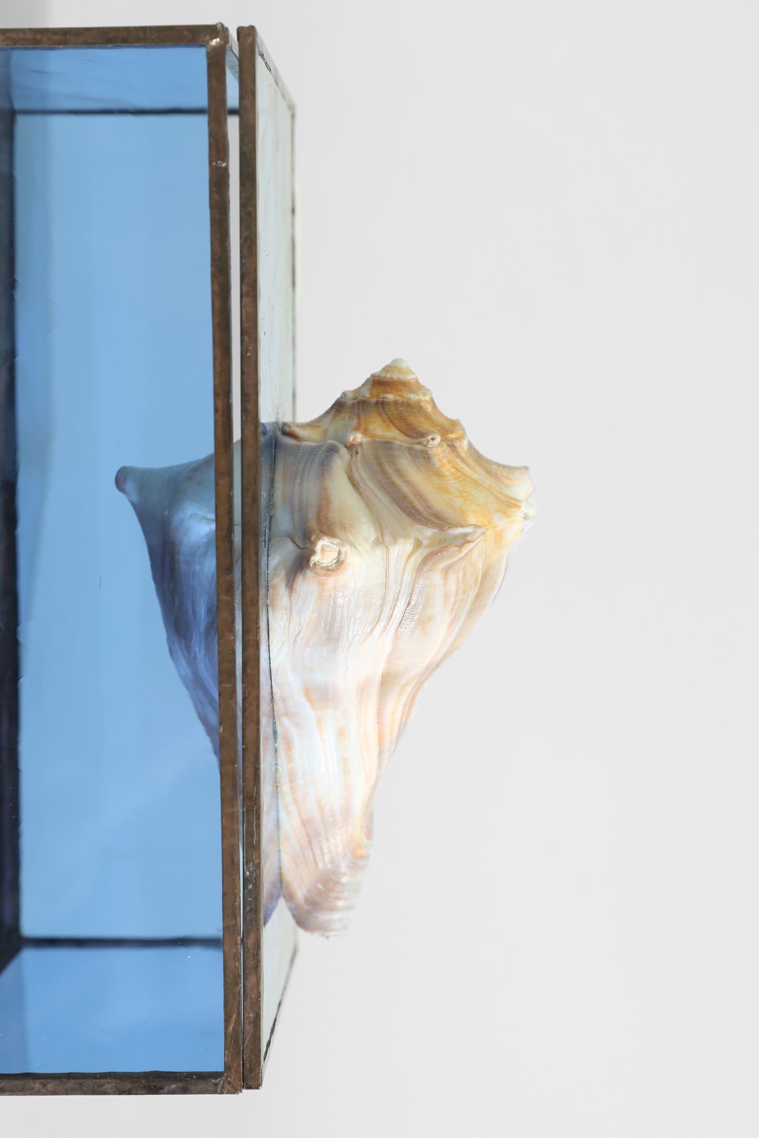 Shell Glass Jewelry Box