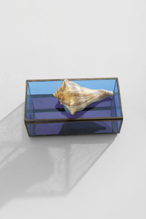 Shell Glass Jewelry Box