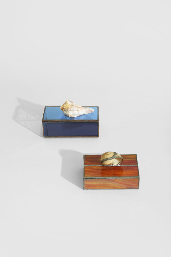 Shell Glass Jewelry Box