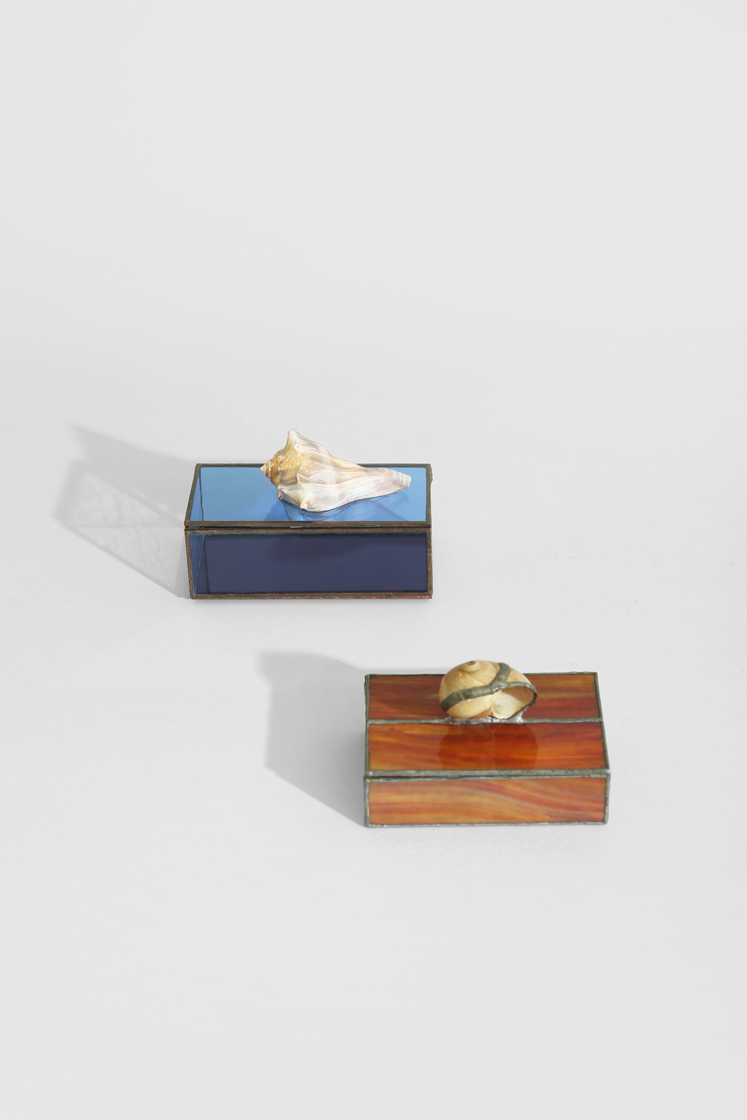 Spiral Shell Glass Jewelry Box