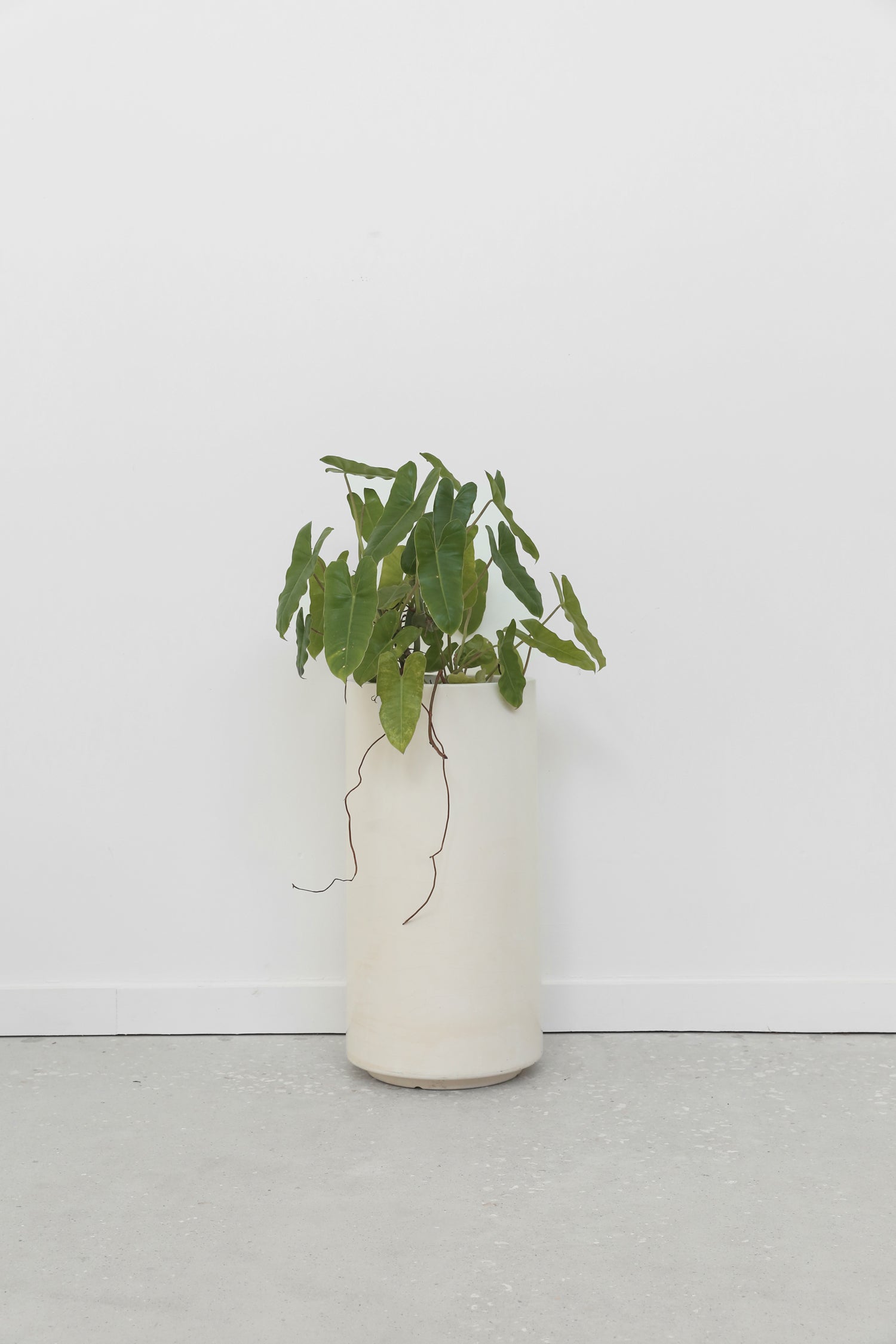 Fiberglass Pedestal Planter