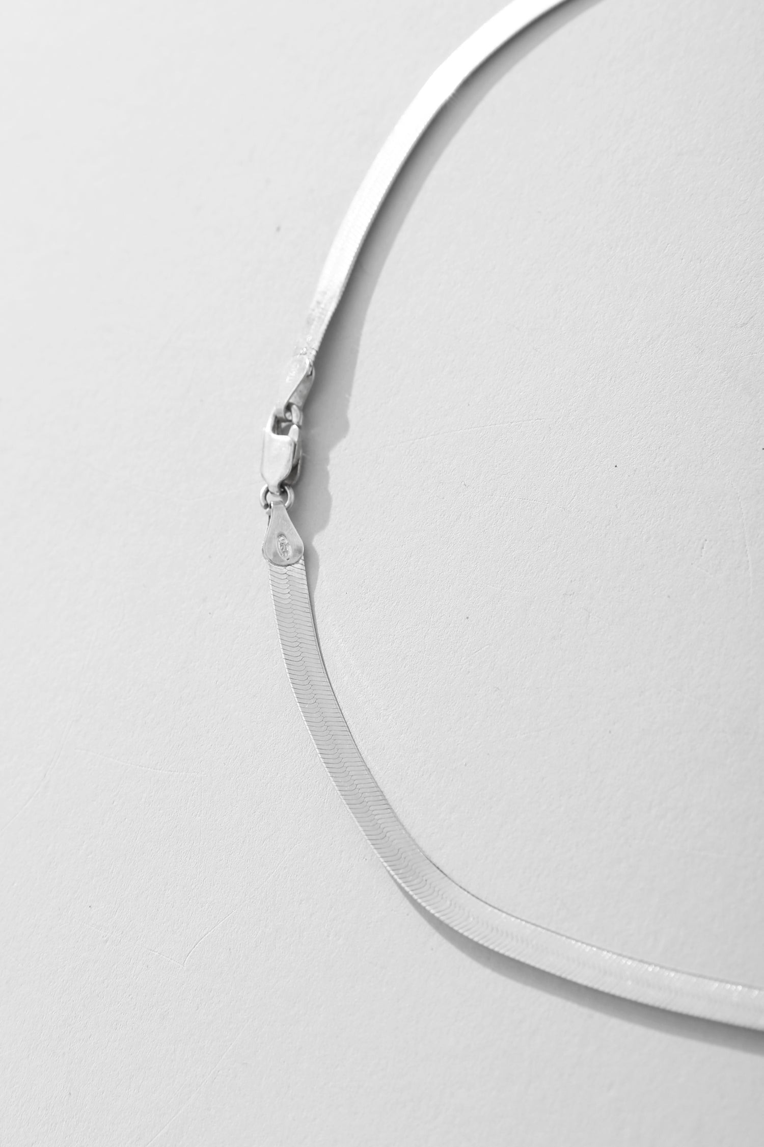 Spiral Shell Necklace #2