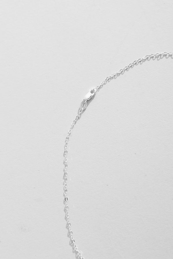 Spiral Shell Necklace #6