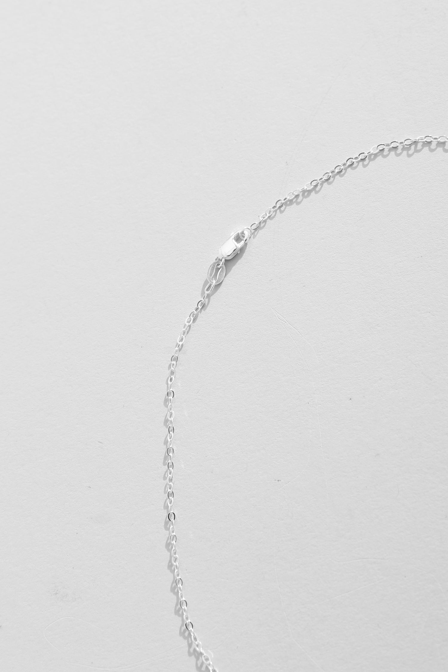 Spiral Shell Necklace #5