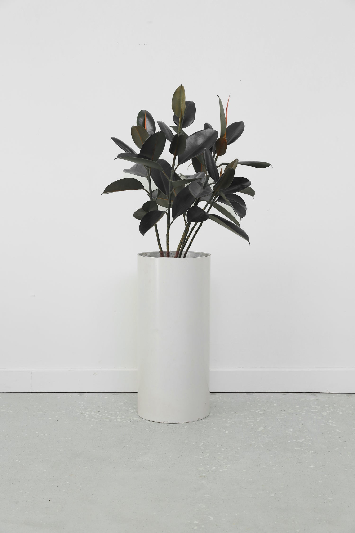 HABITAT Pedestal Planter