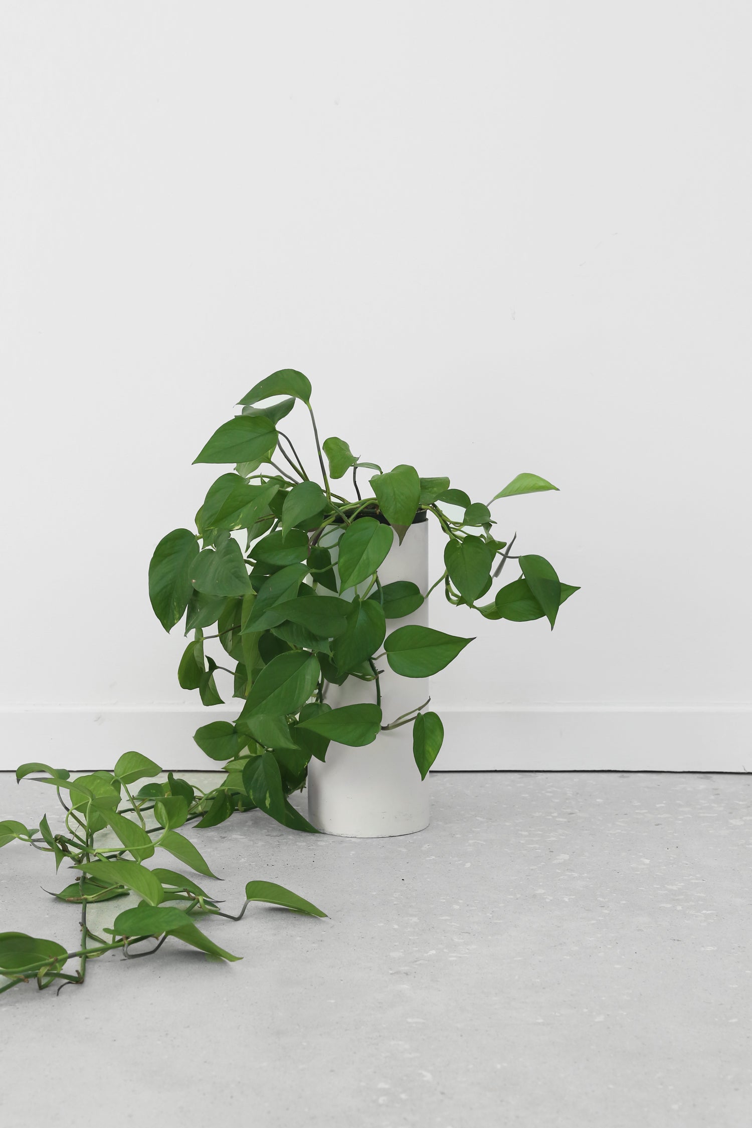HABITAT Small Pedestal Planter