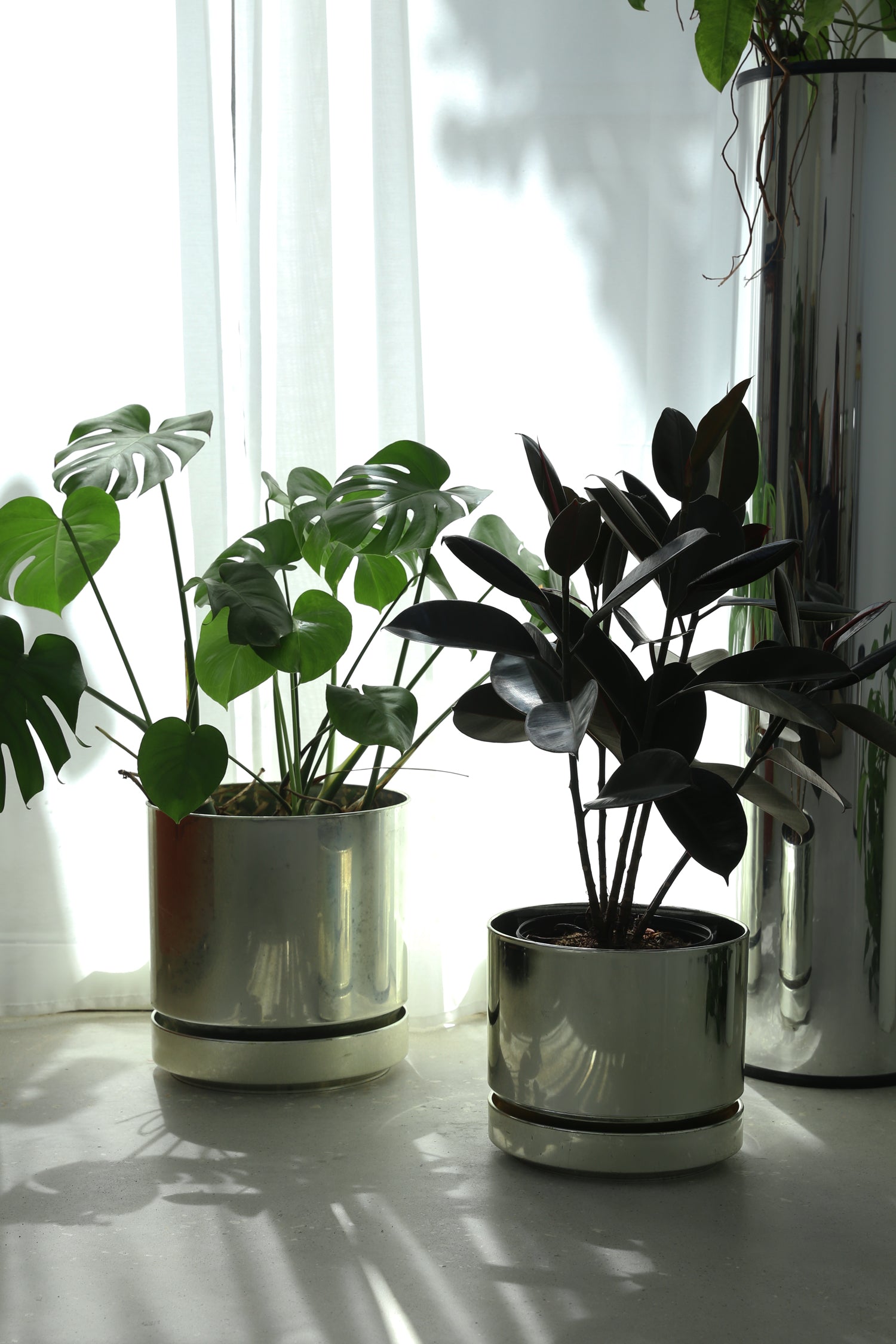 Champagne Planter Set