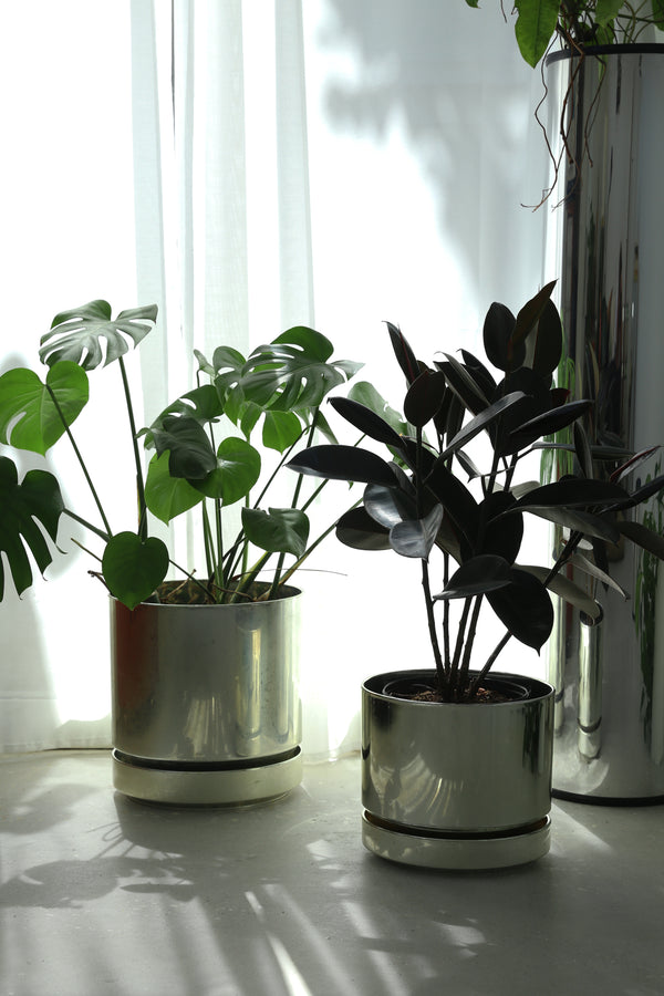 Champagne Planter Set