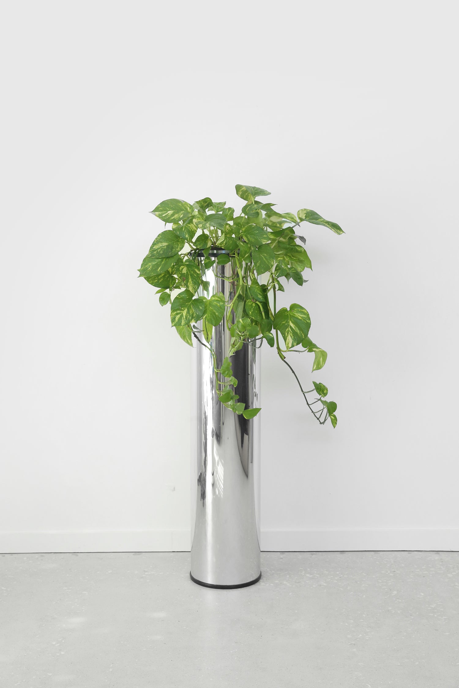4ft Chrome Pedestal Planter