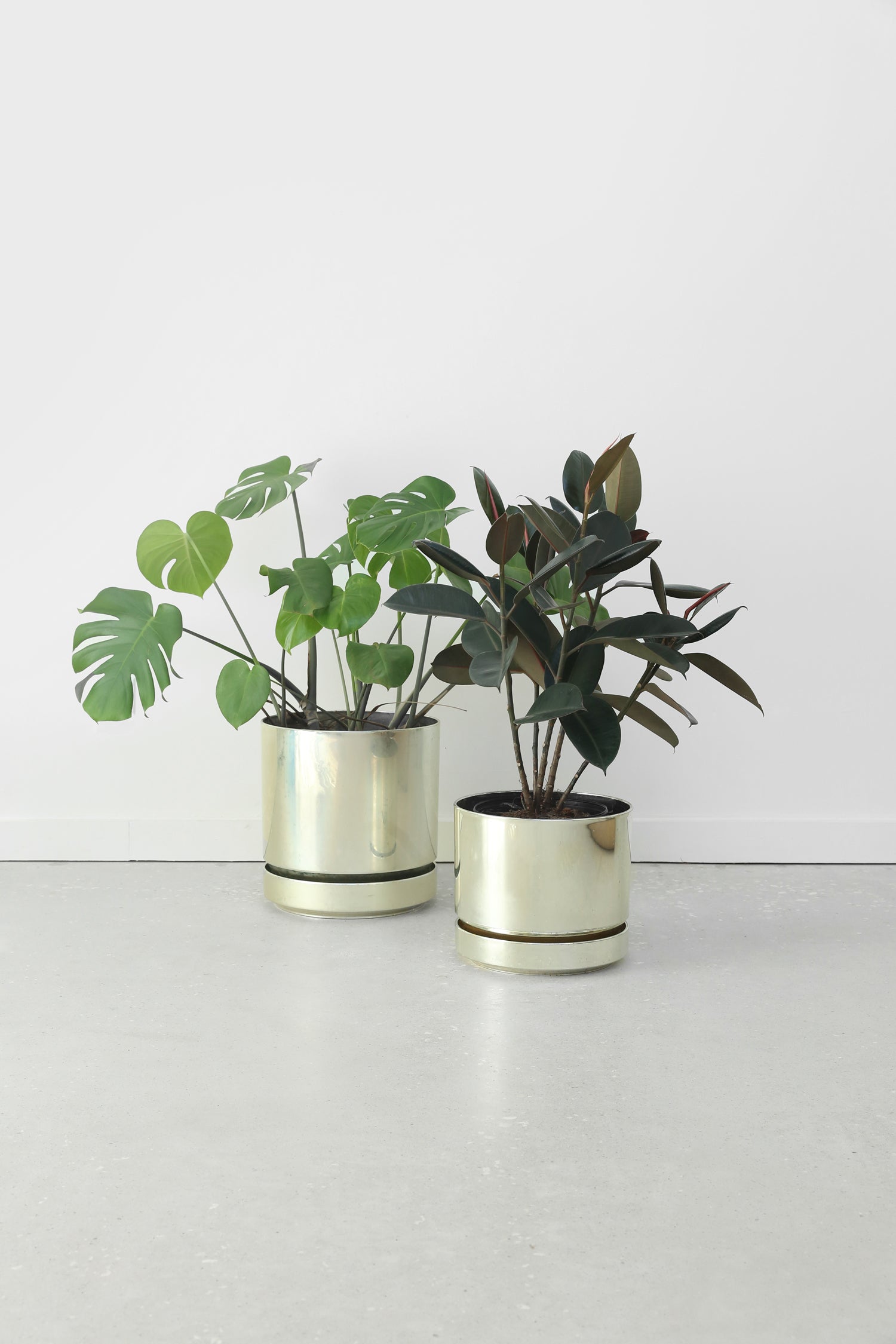 Champagne Planter Set