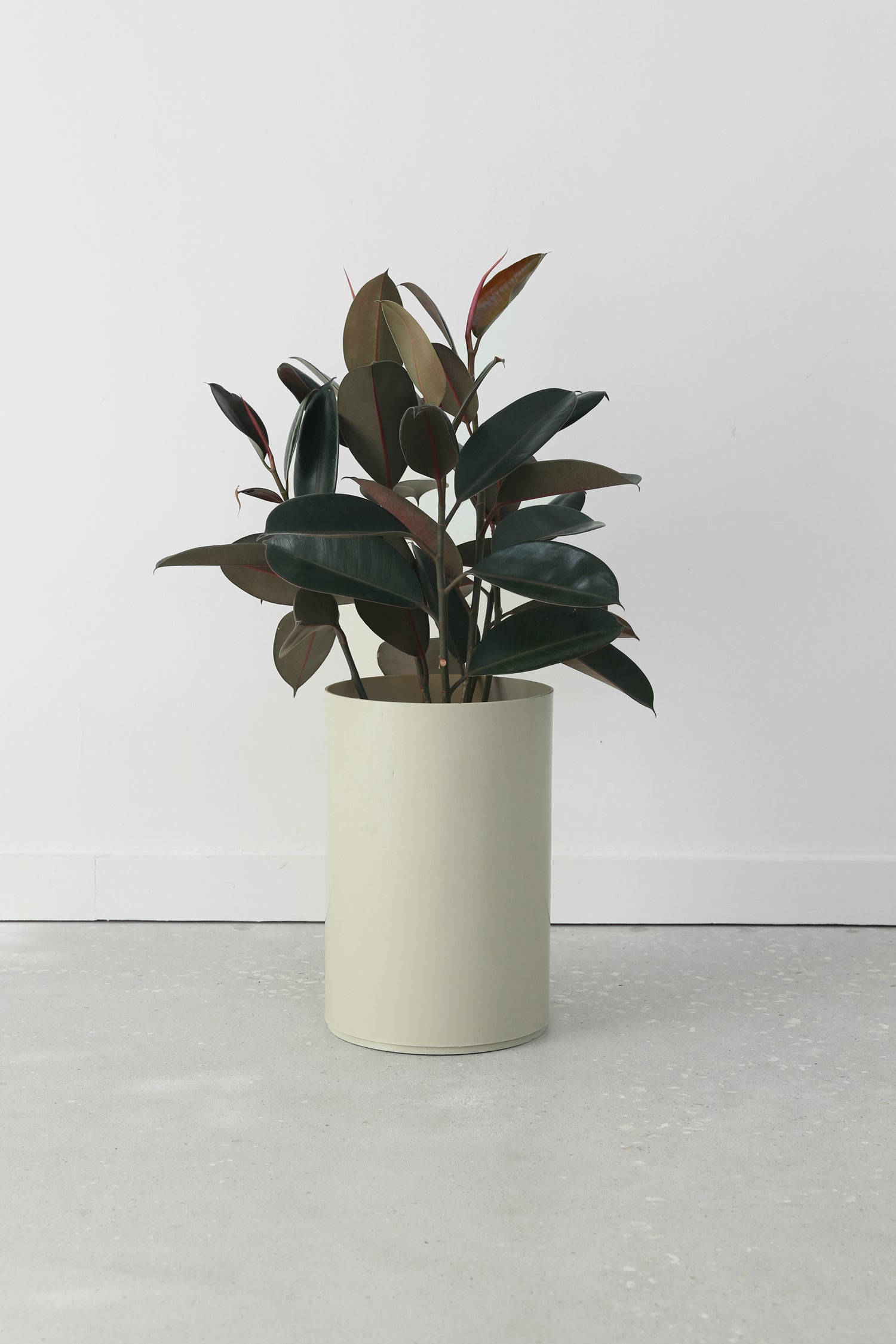 Cylinder Plastic Planter