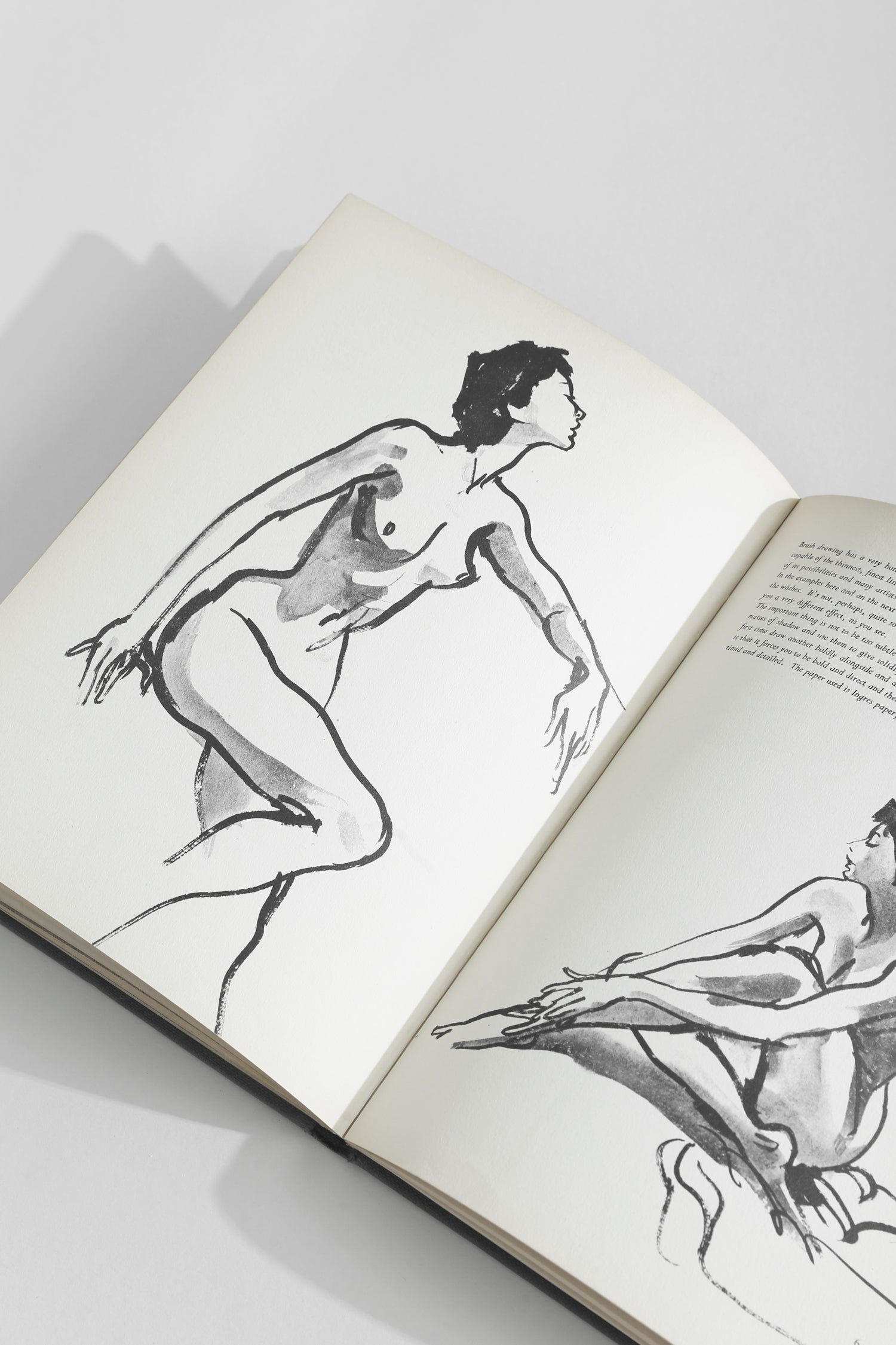 Drawing the Female Figure Book