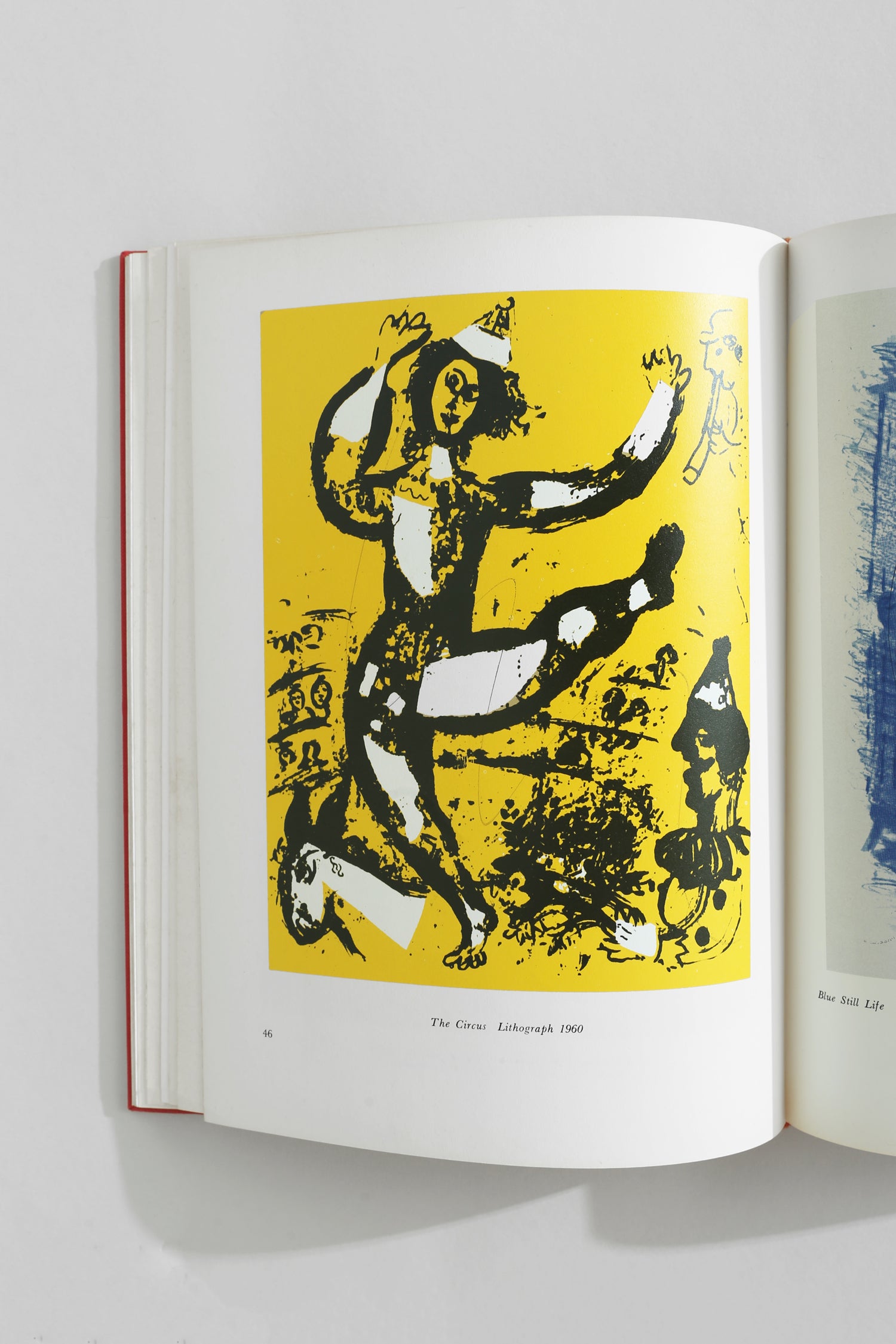 Chagall Book