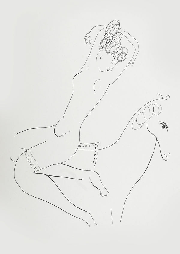 Chagall Book