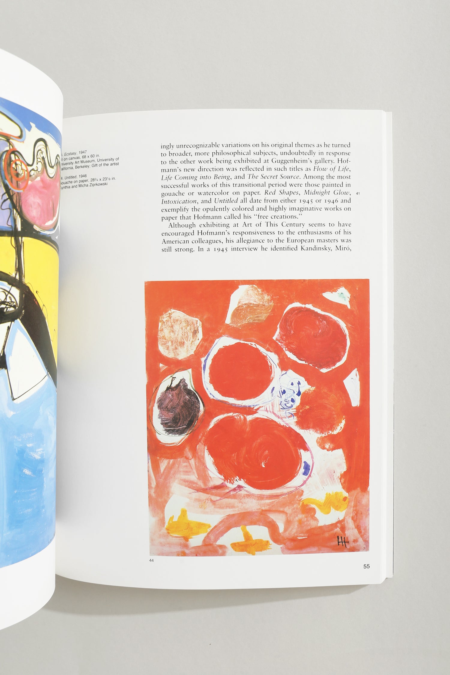 Hans Hofmann Book