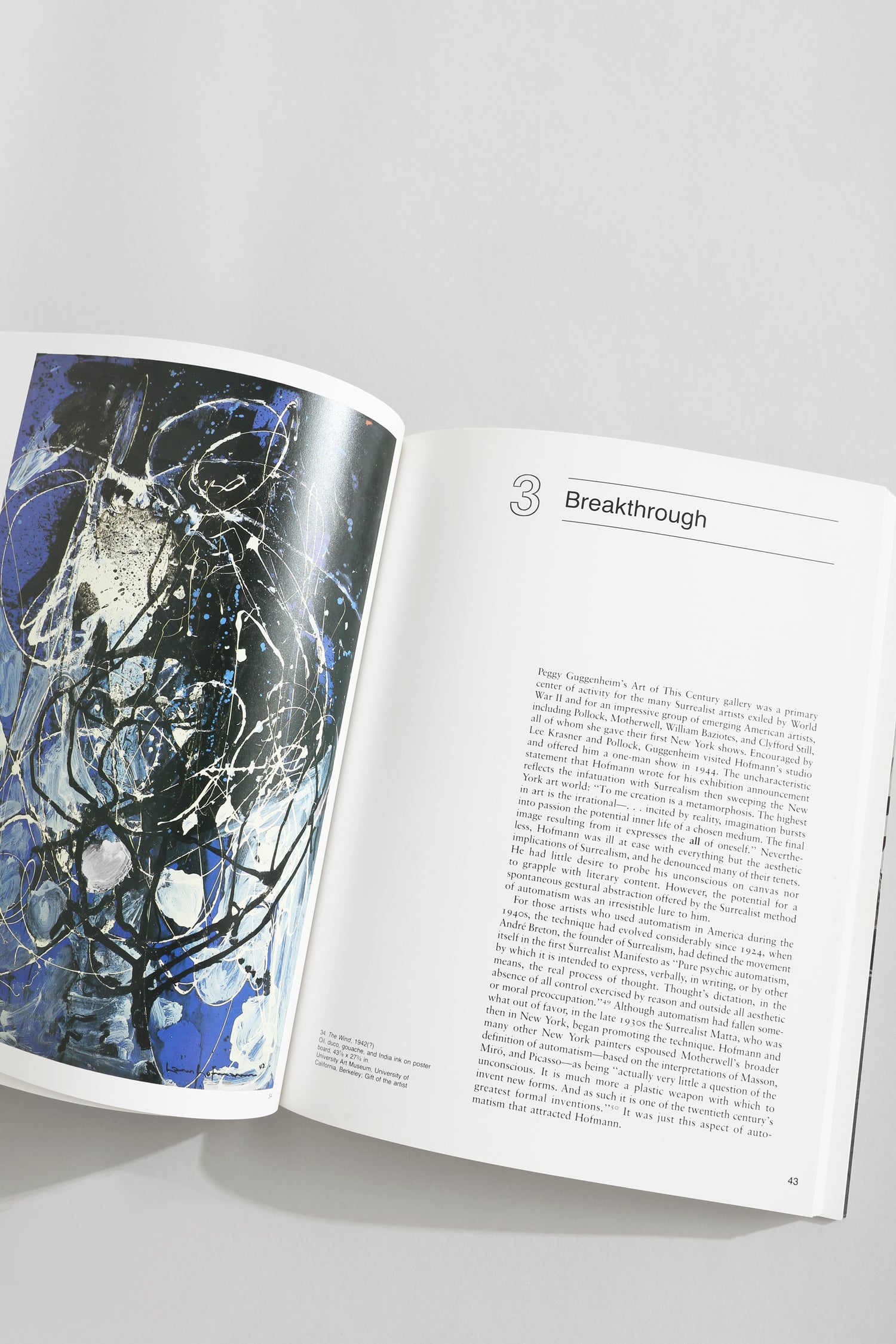 Hans Hofmann Book