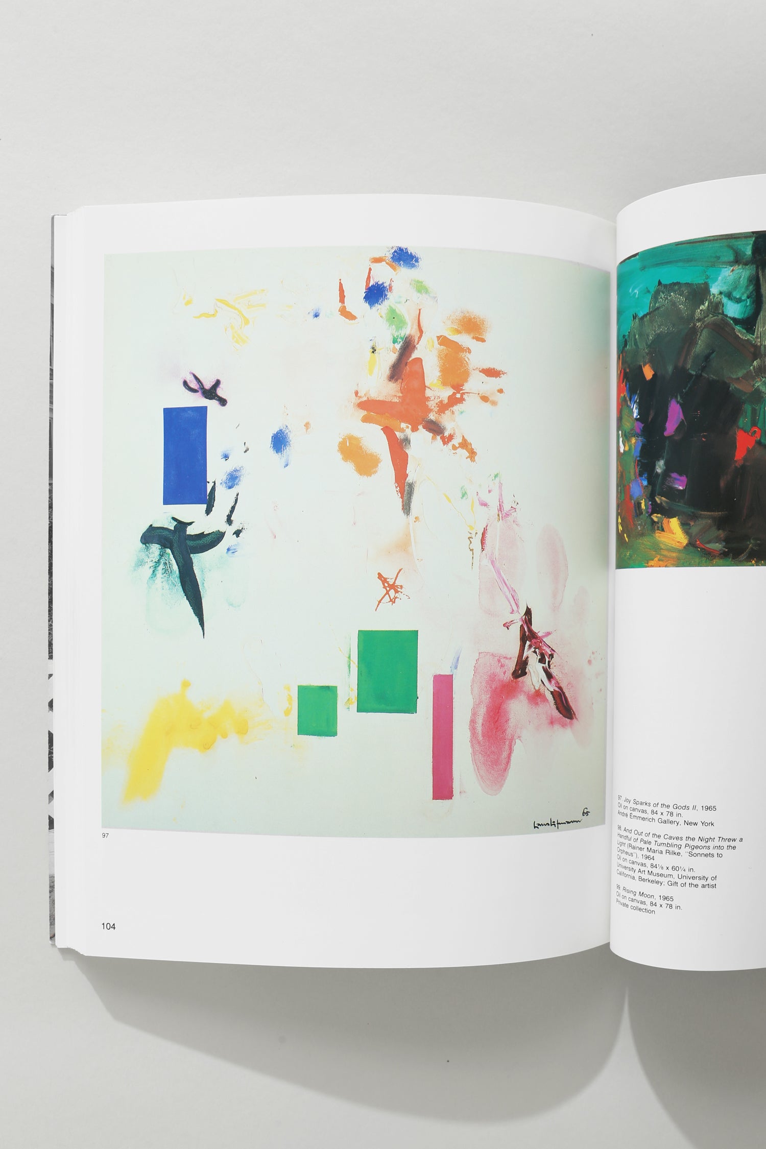 Hans Hofmann Book