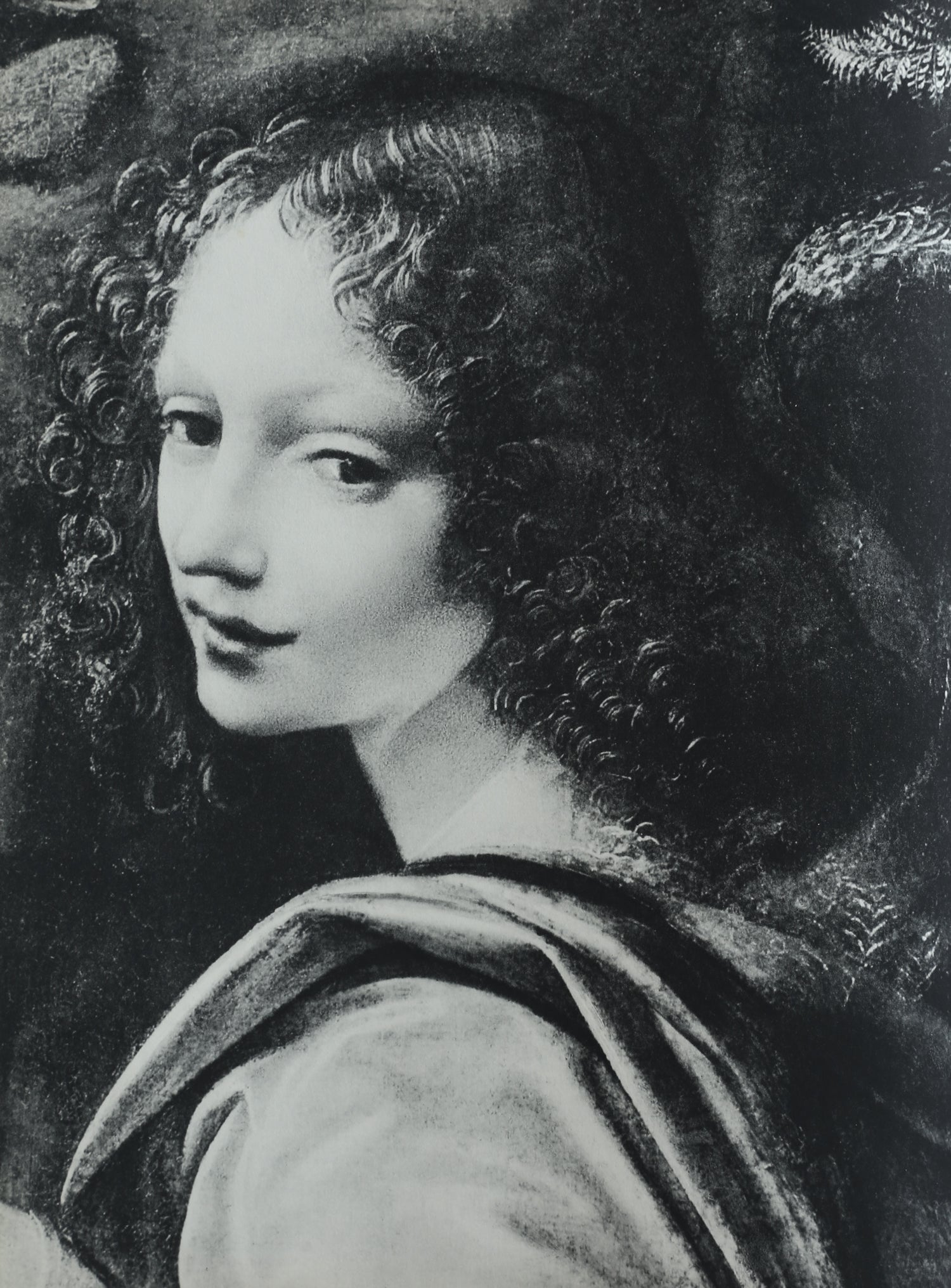 The Picture History of Painting Book