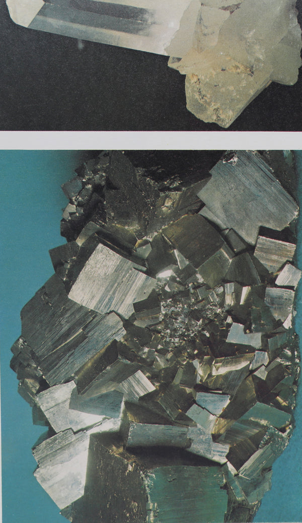 Minerals + Rocks Book