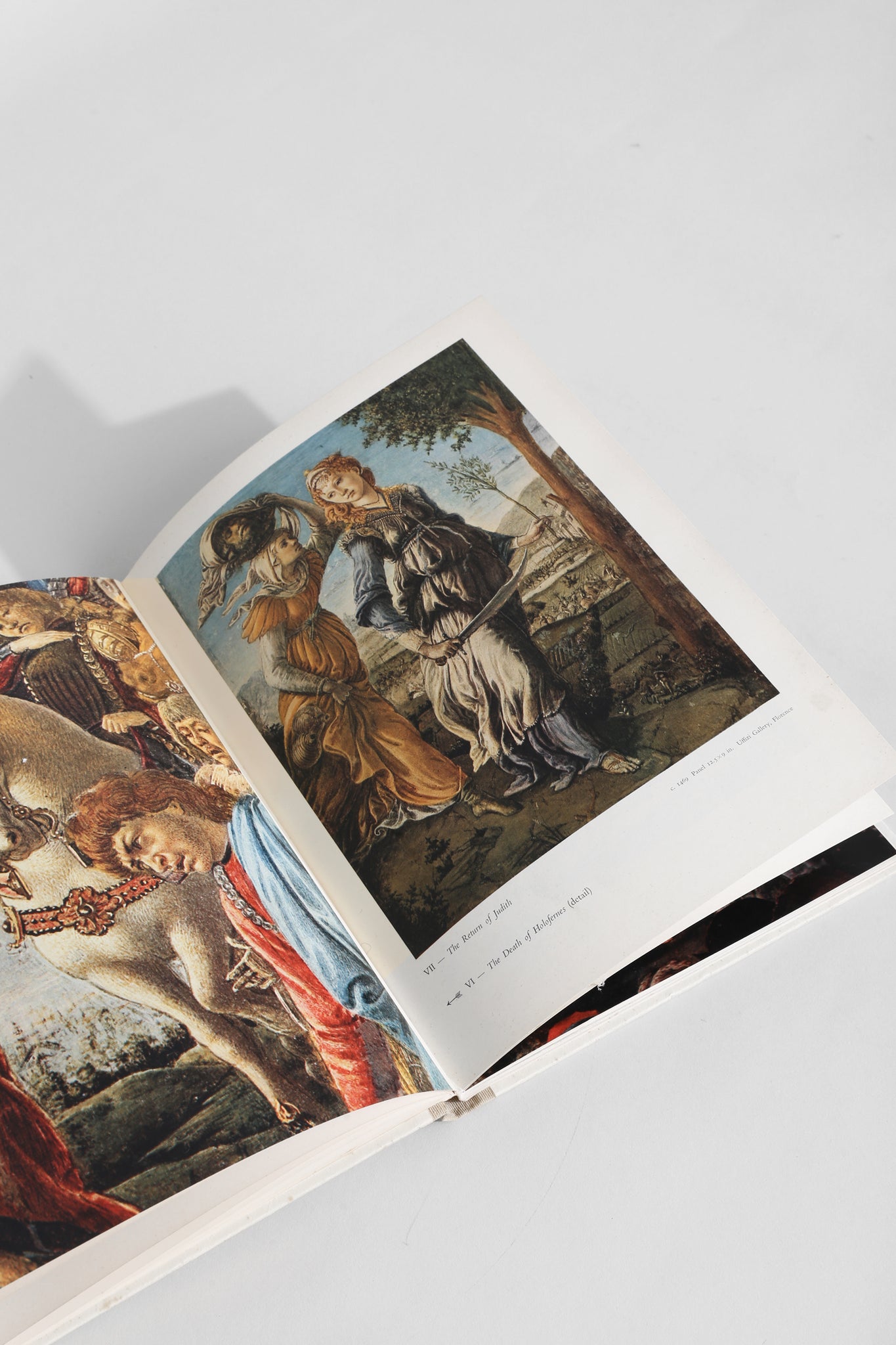 Botticelli Book