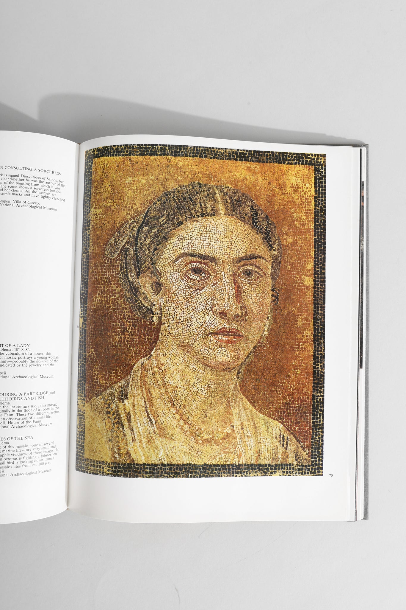 Pompeii and its Museums Book