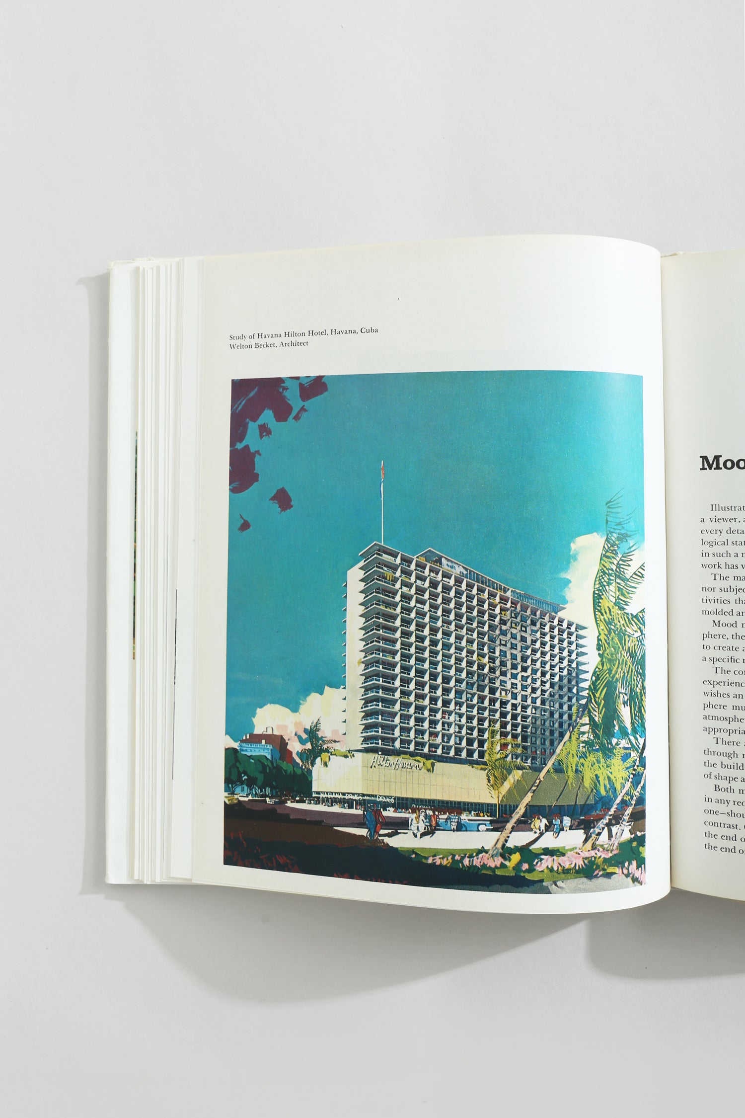 Architectural Presentation Book