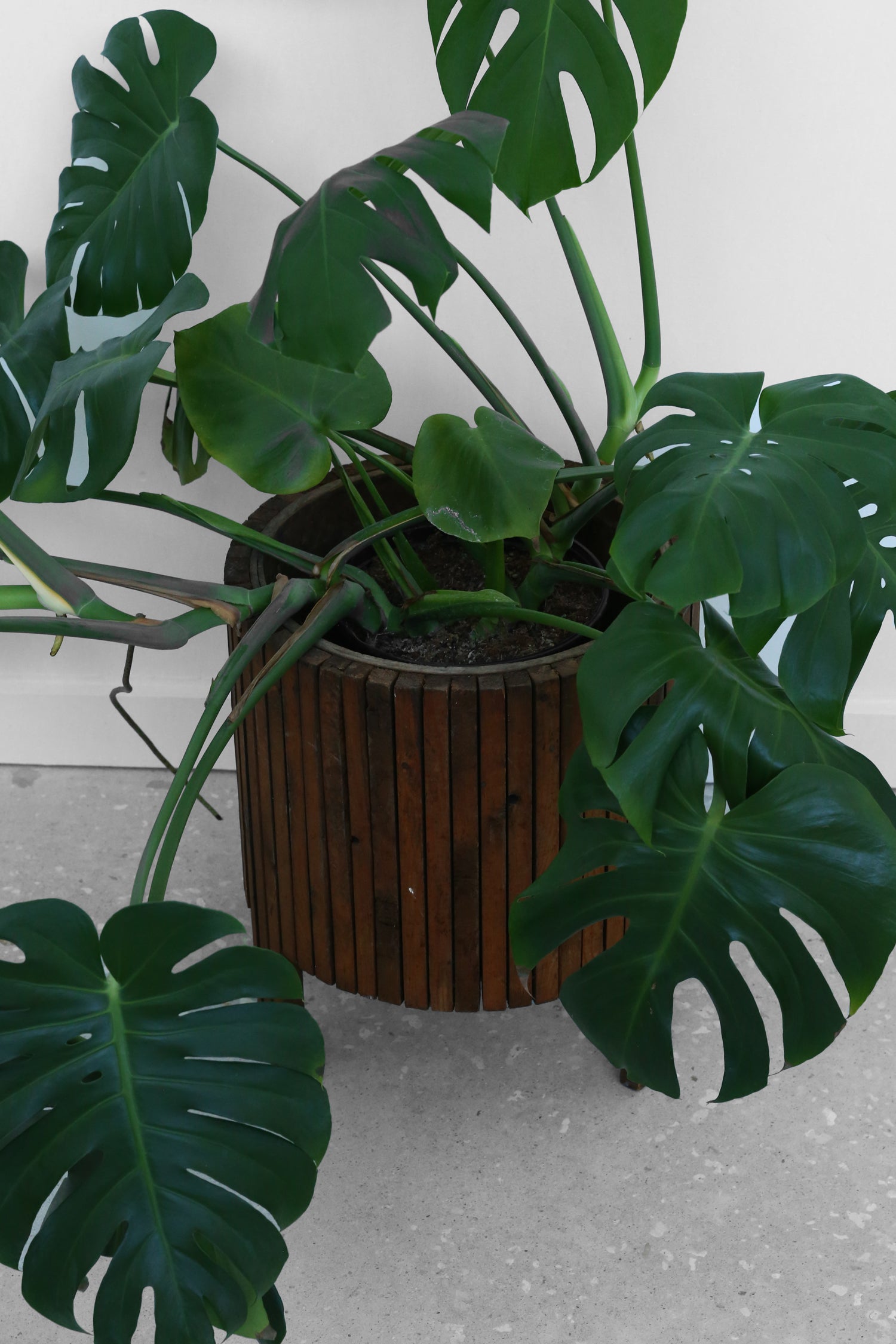 Mid-century Planter Stand