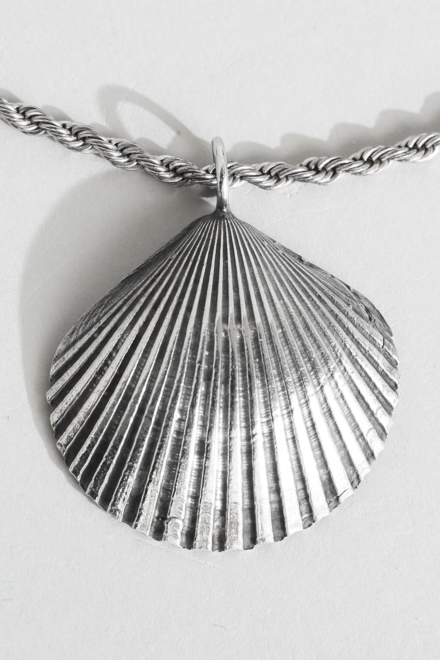 Scallop Shell Necklace