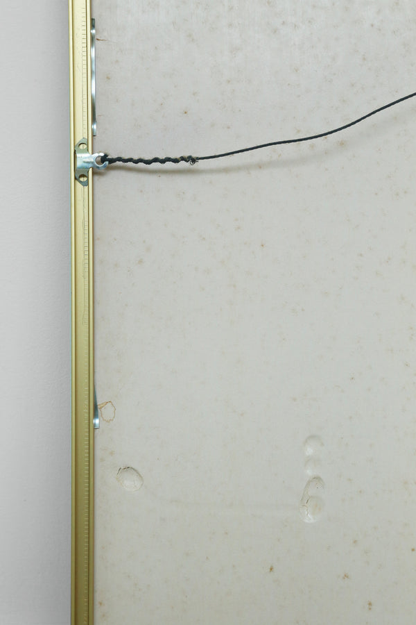 Spring In Central Park, Framed Exhibition Print