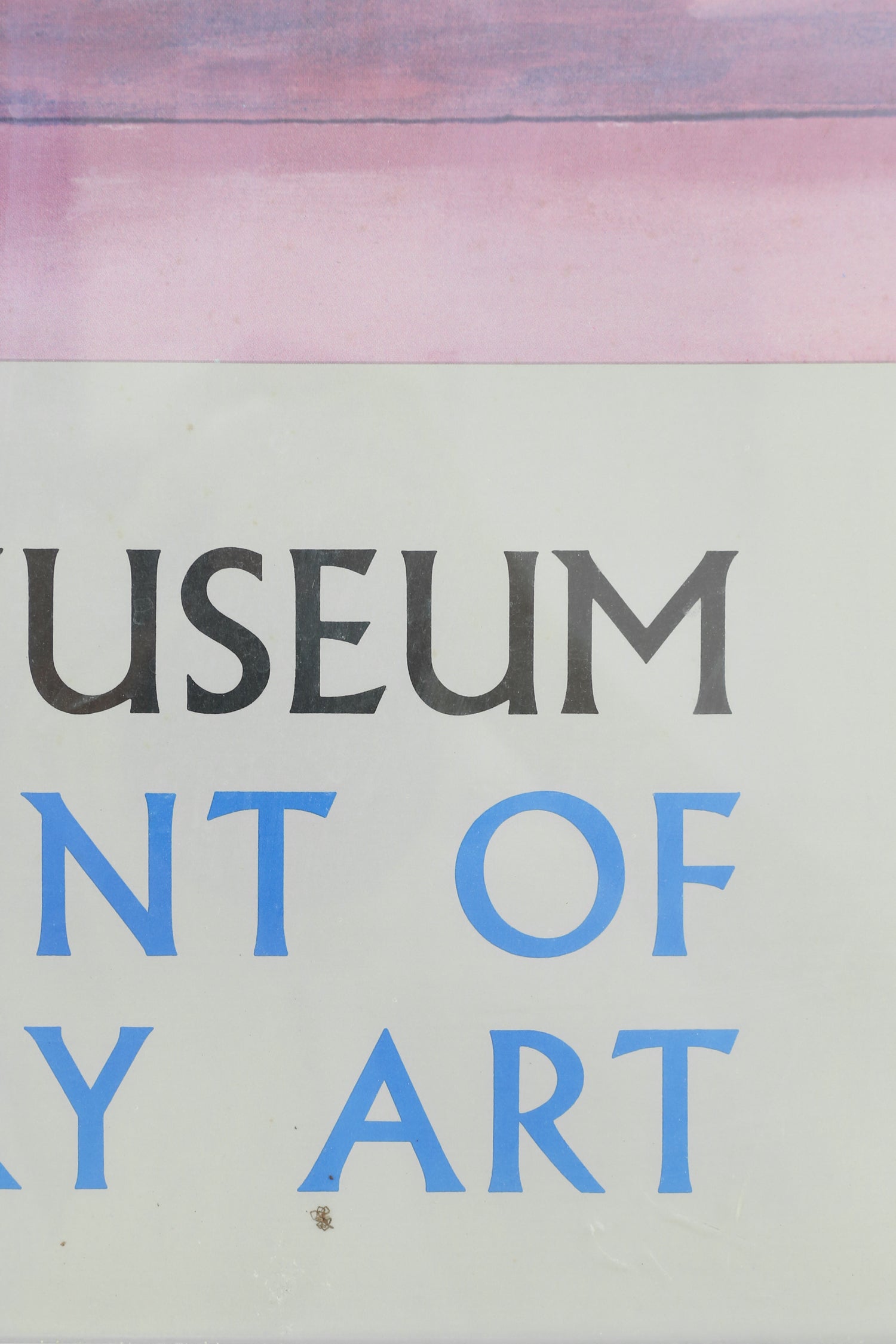 David Hockney, Mount Fuji and Flowers, Framed Exhibition Print