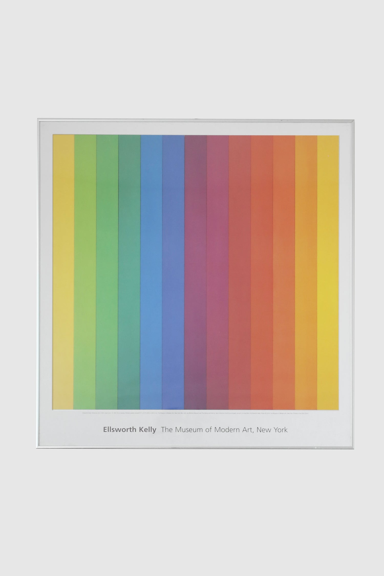Ellsworth Kelly Framed Exhibition Print