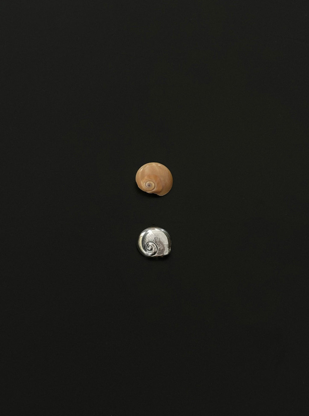 Sterling Moon Snail Earrings